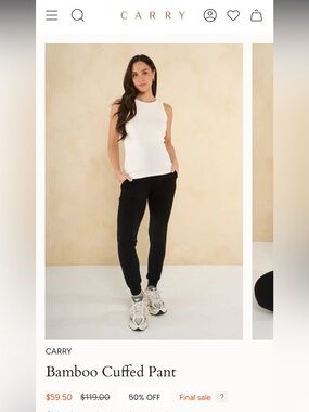 BNWOT Maternity Bamboo Pants